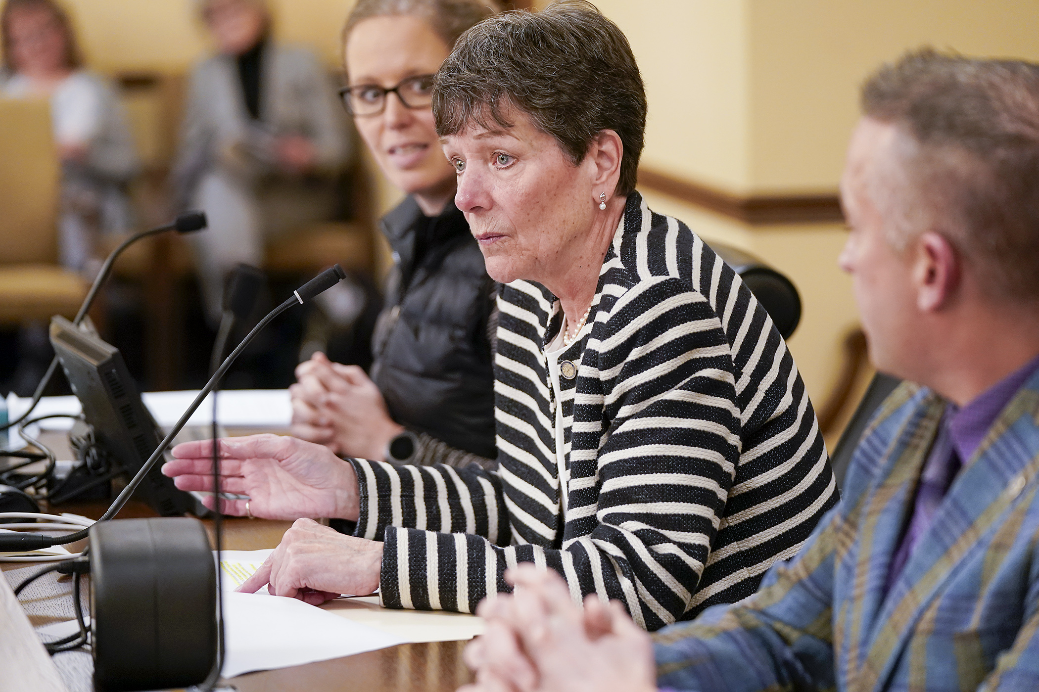 Rep. Peggy Bennett presents HF6, a bill to modify the Read Act, to the House Education Policy Committee Jan. 22. Bennett, the committee chair, is flanked by Rep. Patricia Mueller and Rep. Ben Bakeberg. (Photo by Michele Jokinen)